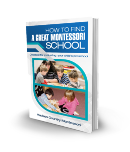 "How To Find a Great Montessori School" Ebook cover