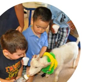 2 students feeding baby goat