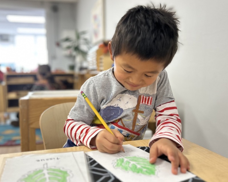 child working with trinomial cube